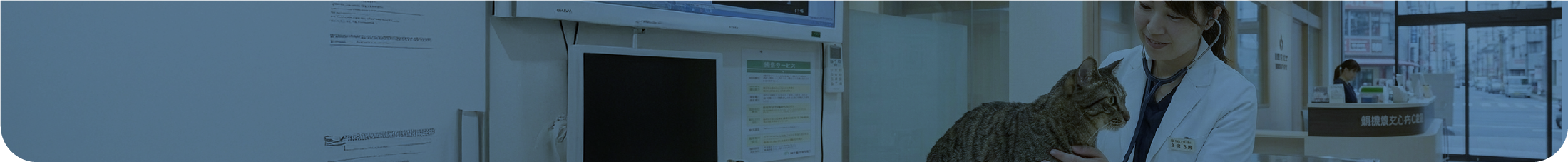 診療予約