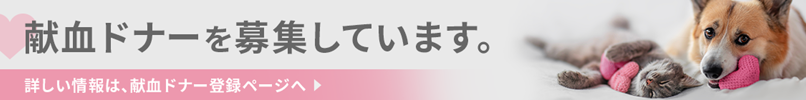 Kyotoar動物高度医療センター