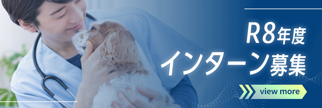R8年度インターン募集