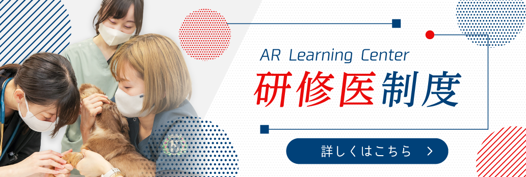AR Learning Center 研修医制度
